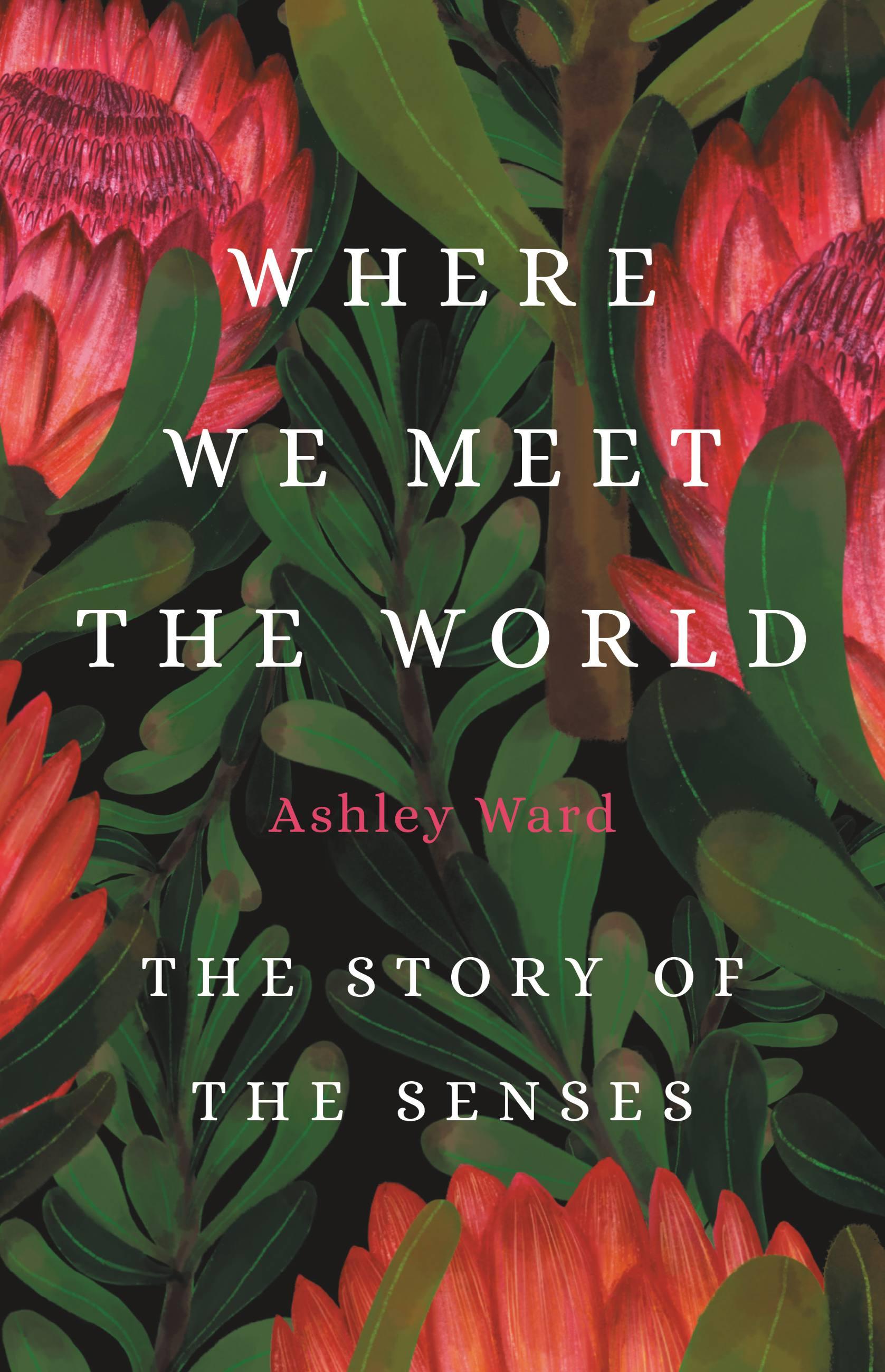 Vorderes Coverbild Where We Meet the World