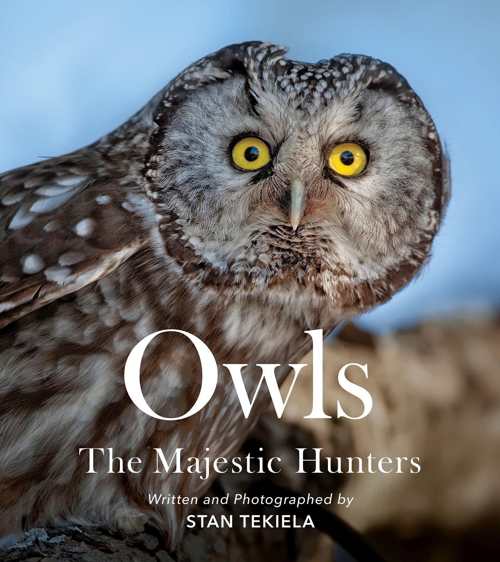 Vorderes Coverbild Owls