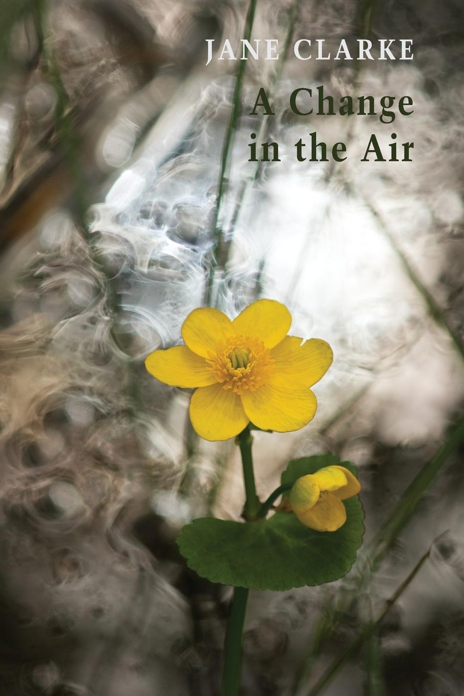Vorderes Coverbild A Change in the Air