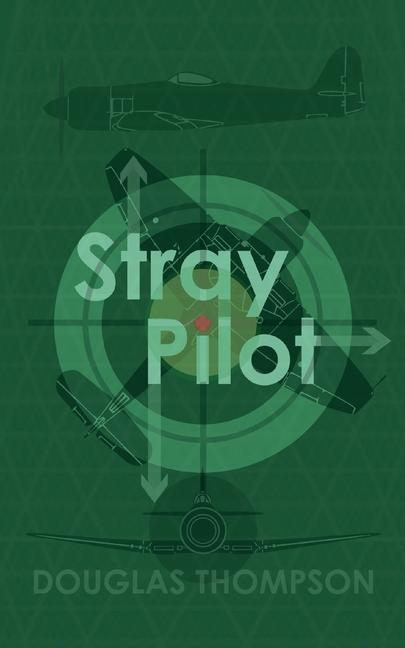 Vorderes Coverbild Stray Pilot
