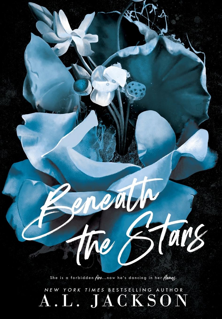 Vorderes Coverbild Beneath the Stars (Hardcover)
