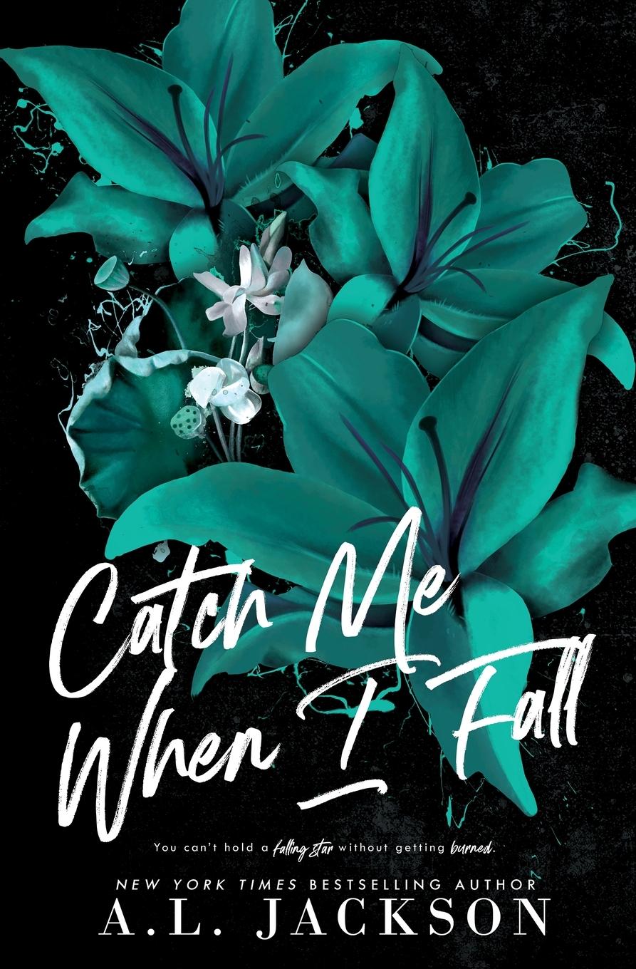 Vorderes Coverbild Catch Me When I Fall (Alternate Cover)