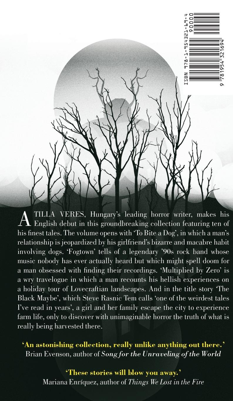 Rückseitencover The Black Maybe