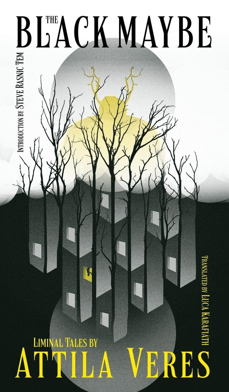 Vorderes Coverbild The Black Maybe