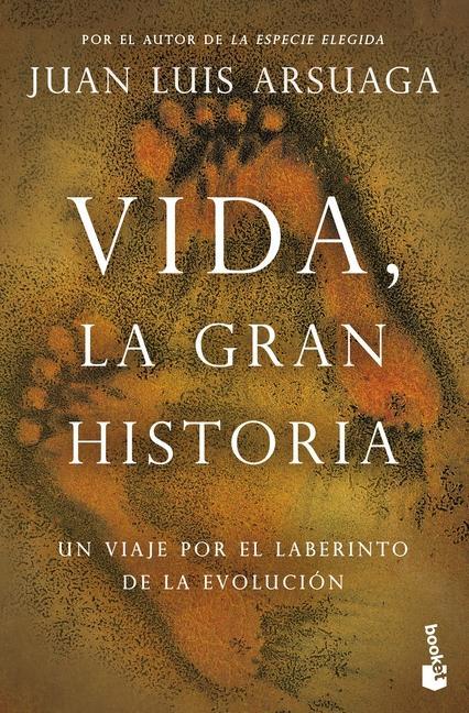 Vorderes Coverbild Vida, La Gran Historia