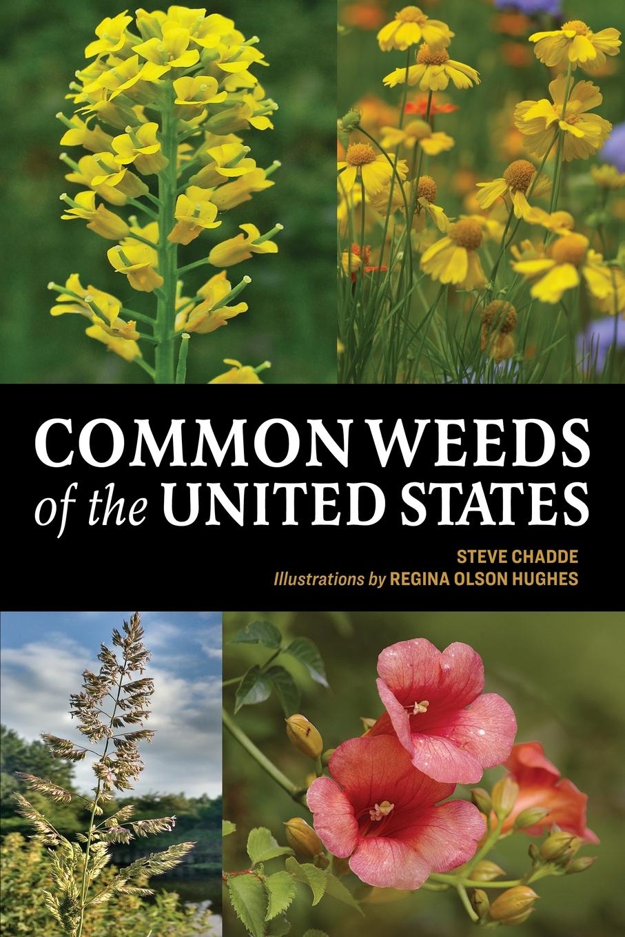 Vorderes Coverbild Common Weeds of the United States