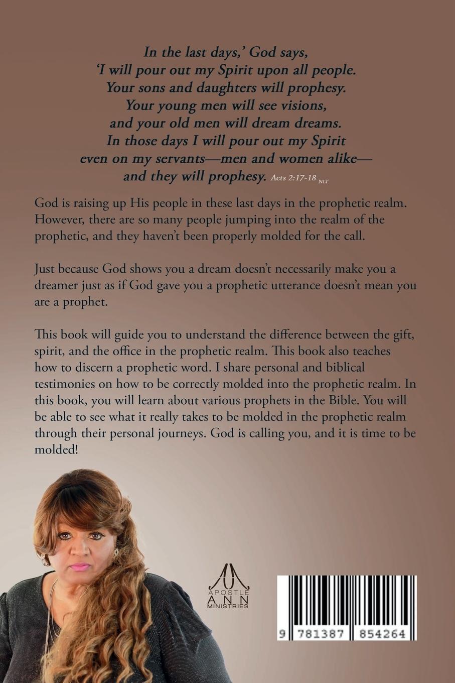 Rückseitencover The Molding within the Prophetic Realm