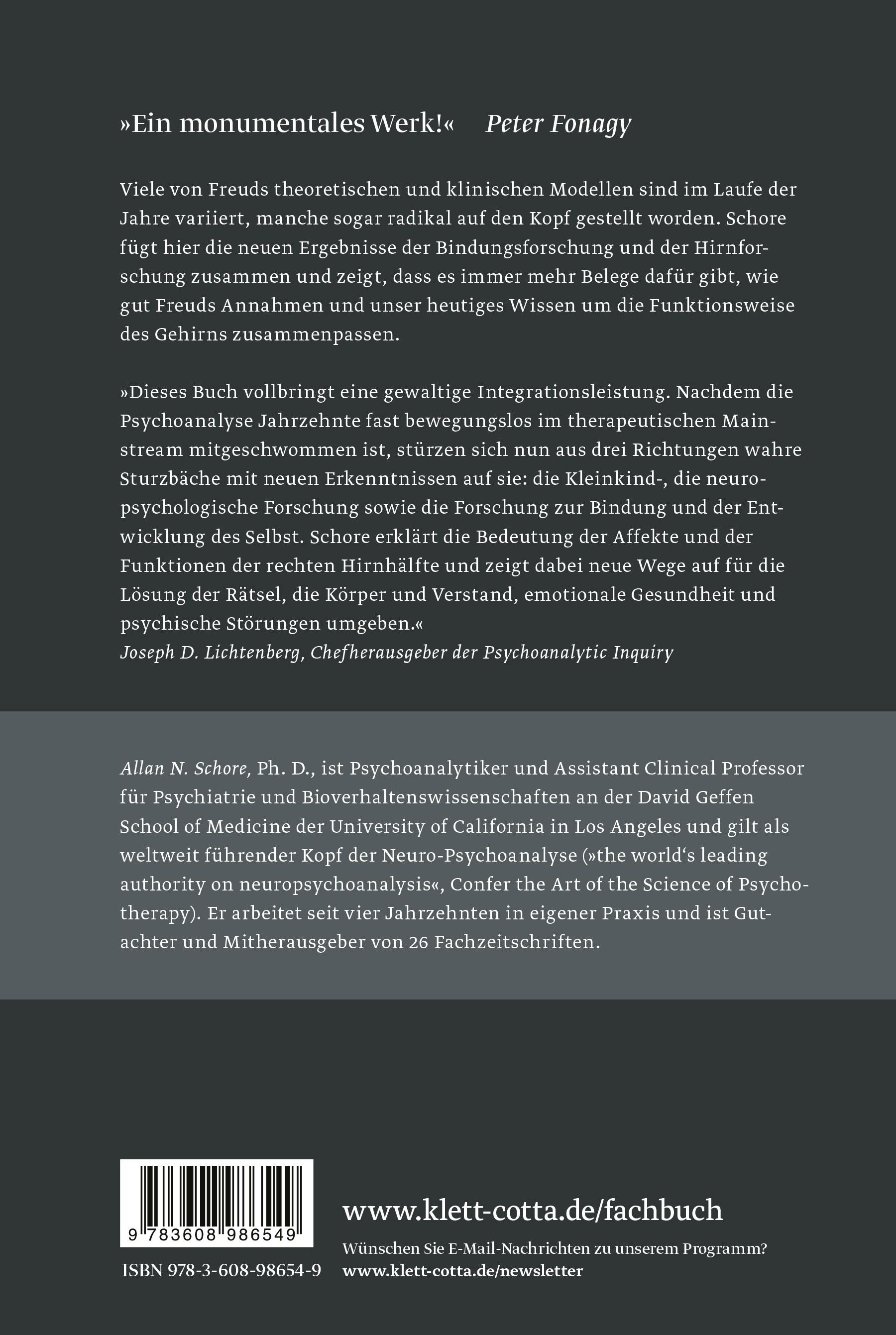 Rückseitencover Affektregulation und die Reorganisation des Selbst