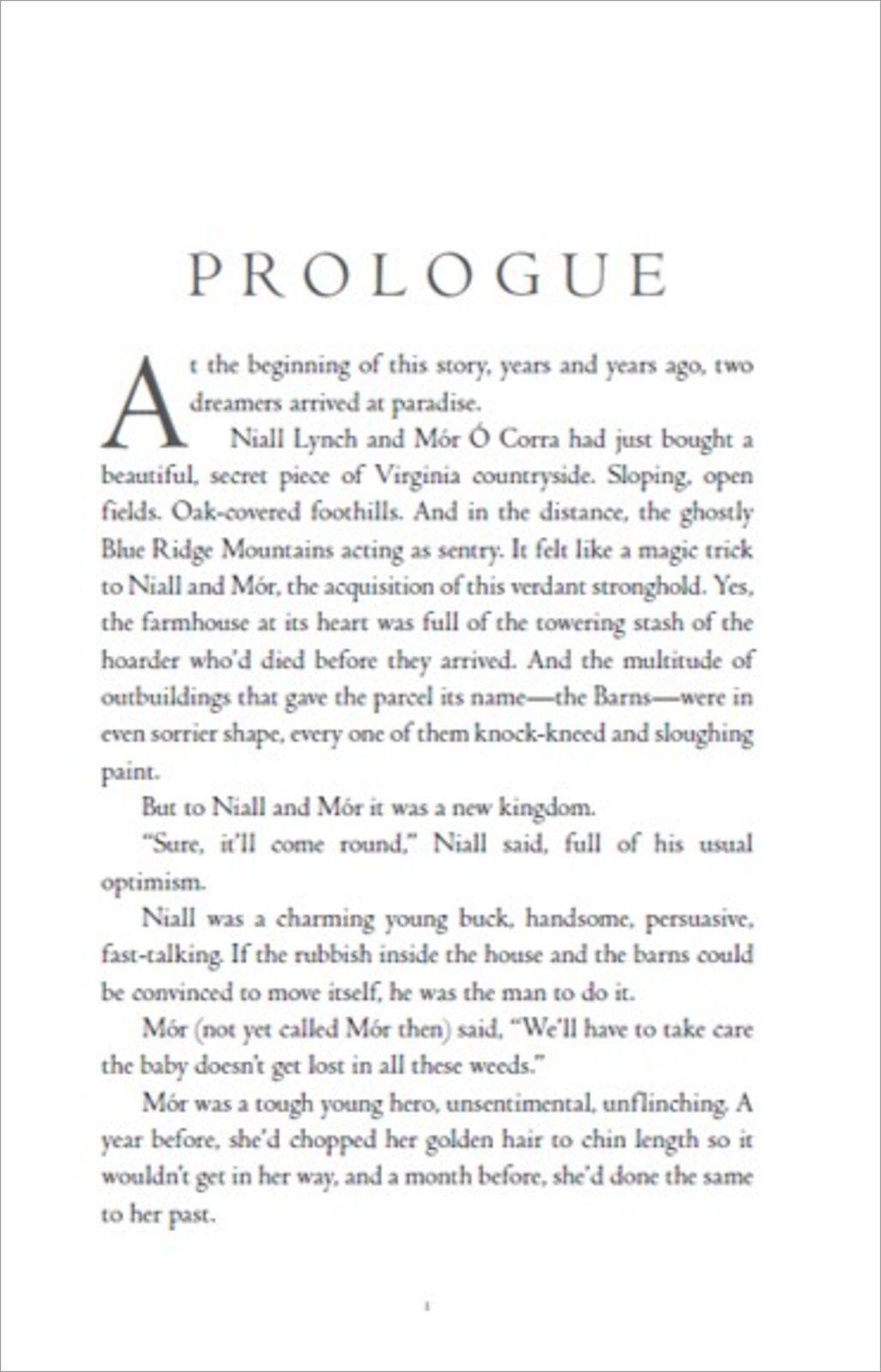 Beispielinhalt (Bild) The Dreamer Trilogy 3.Greywaren