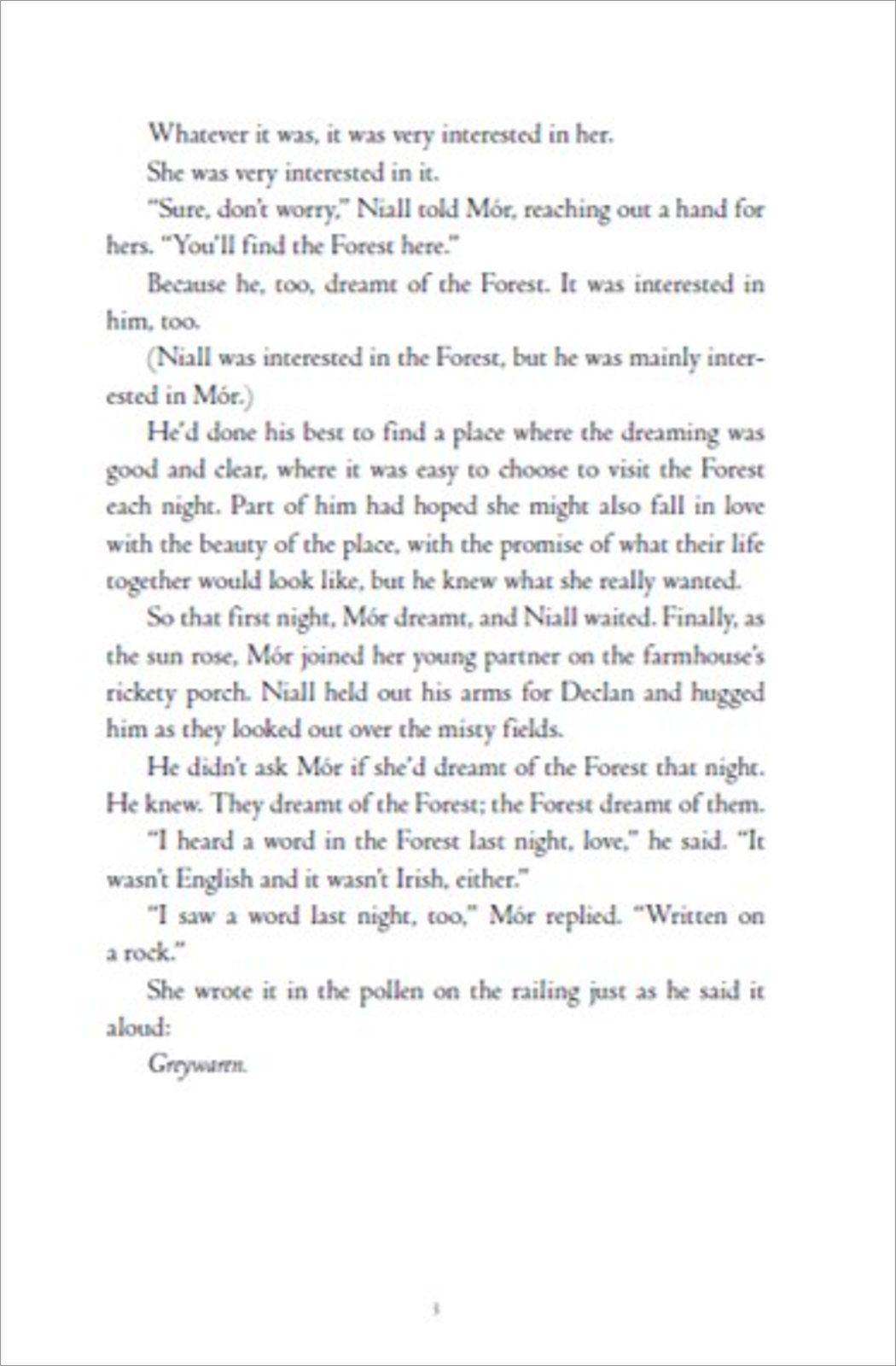 Beispielinhalt (Bild) The Dreamer Trilogy 3.Greywaren