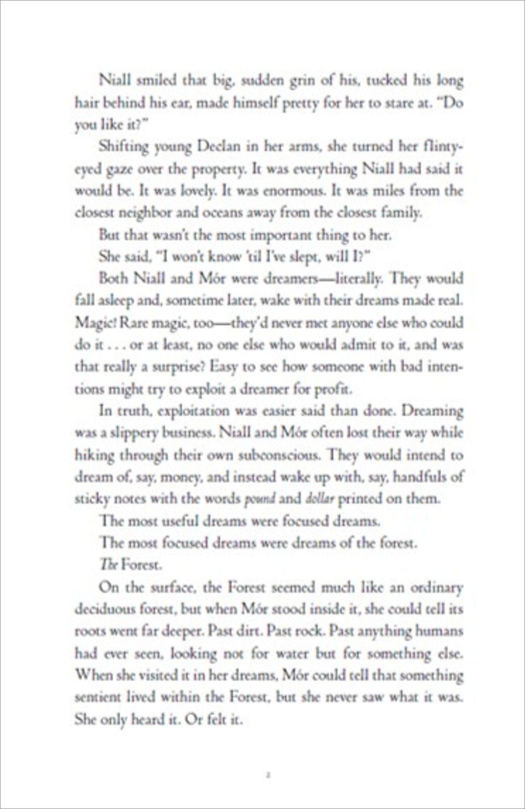 Beispielinhalt (Bild) The Dreamer Trilogy 3.Greywaren