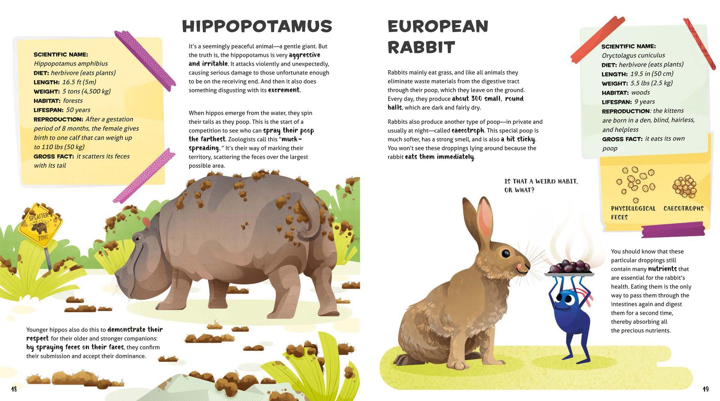 Beispielinhalt (Bild) Weird and Wonderful Gross Animals