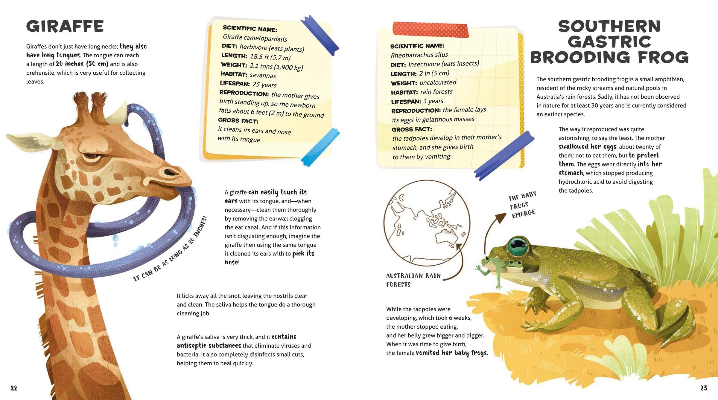 Beispielinhalt (Bild) Weird and Wonderful Gross Animals