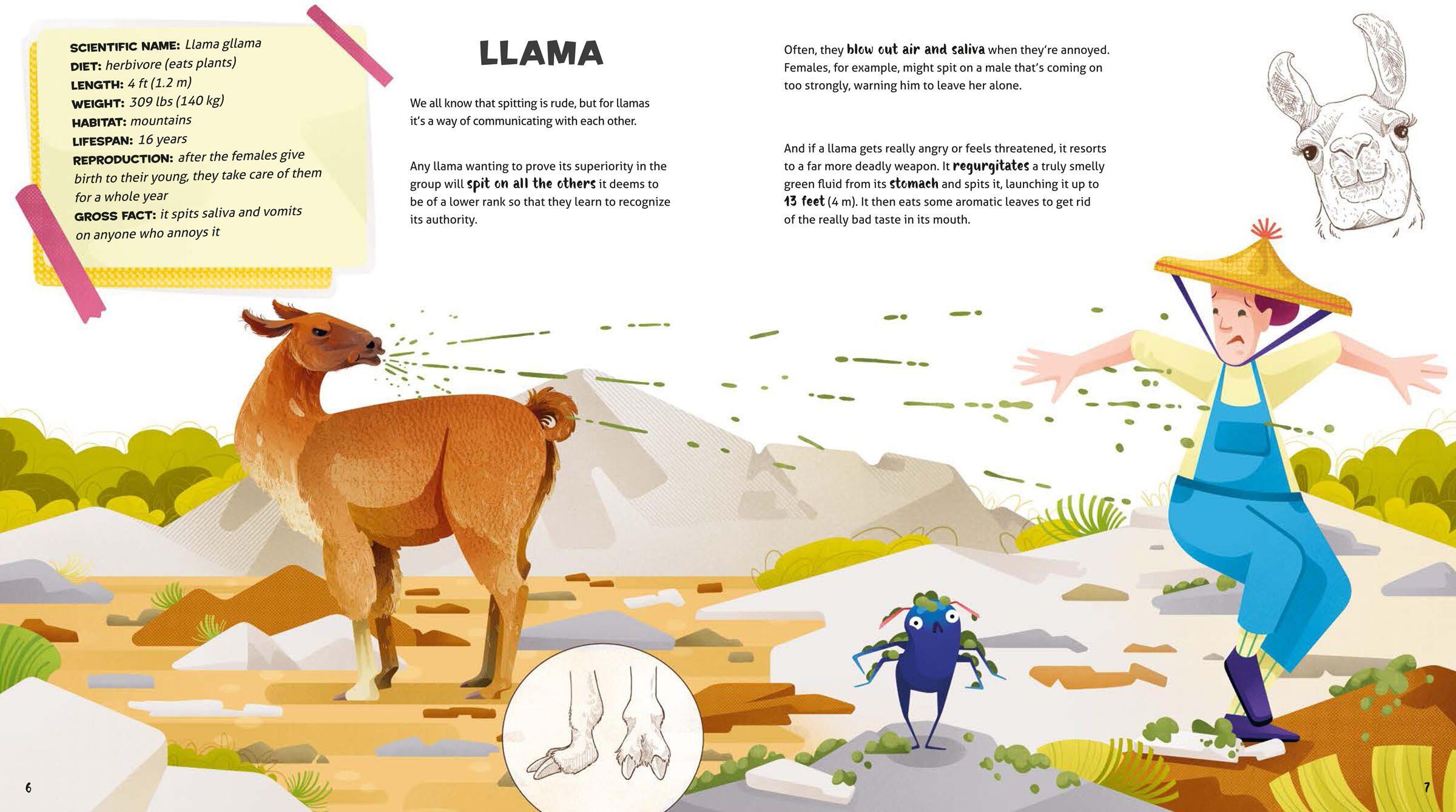 Beispielinhalt (Bild) Weird and Wonderful Gross Animals