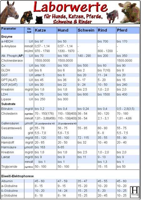 Vorderes Coverbild Laborwerte für Hunde, Katzen, Pferde, Schweine, Rinder
