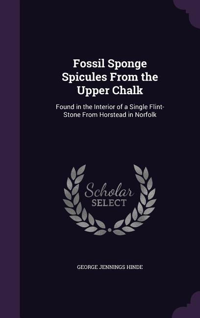 Vorderes Coverbild Fossil Sponge Spicules From the Upper Chalk