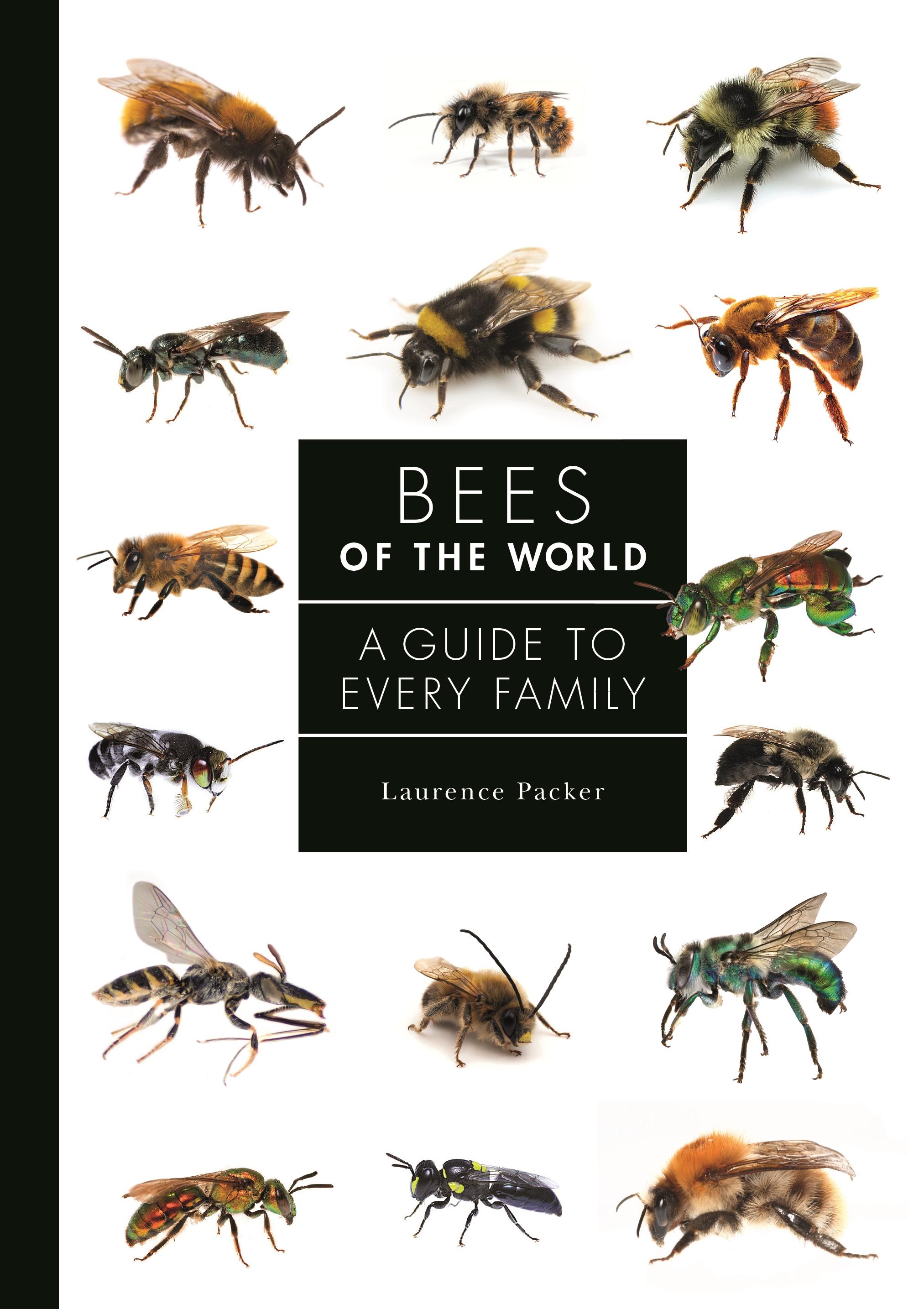 Vorderes Coverbild Bees of the World