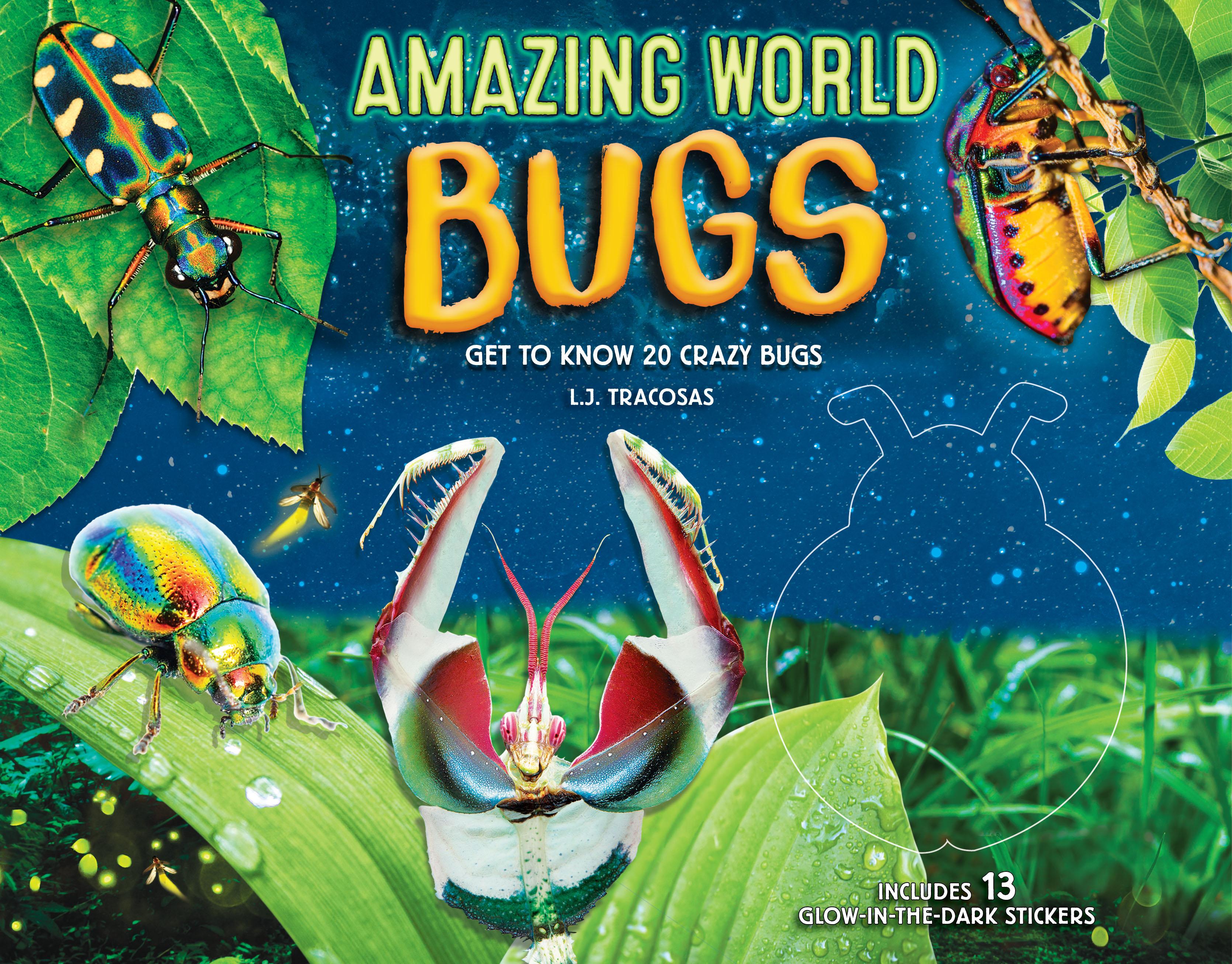 Vorderes Coverbild Amazing World: Bugs