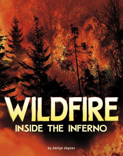 Vorderes Coverbild Wildfire, Inside the Inferno