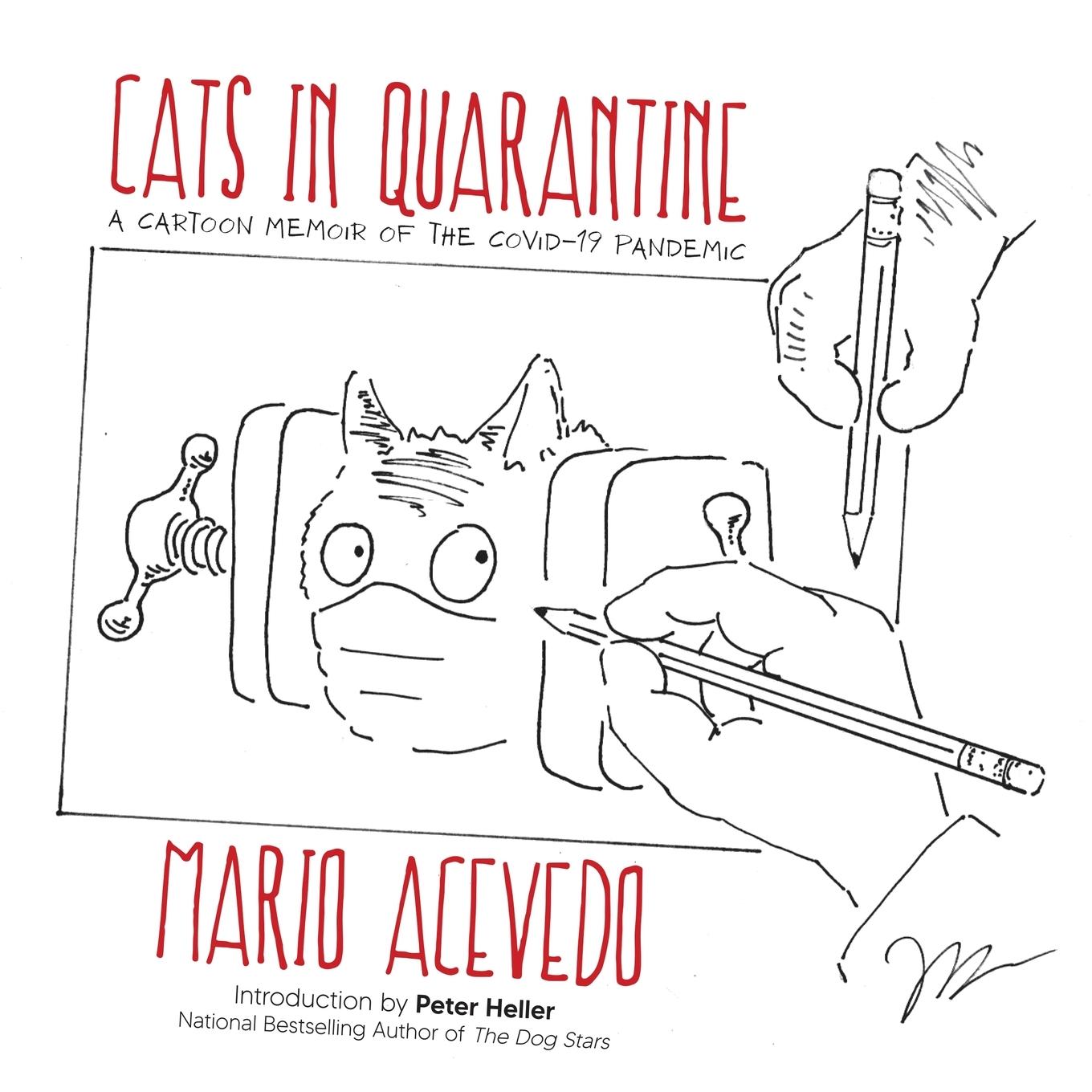 Vorderes Coverbild Cats in Quarantine