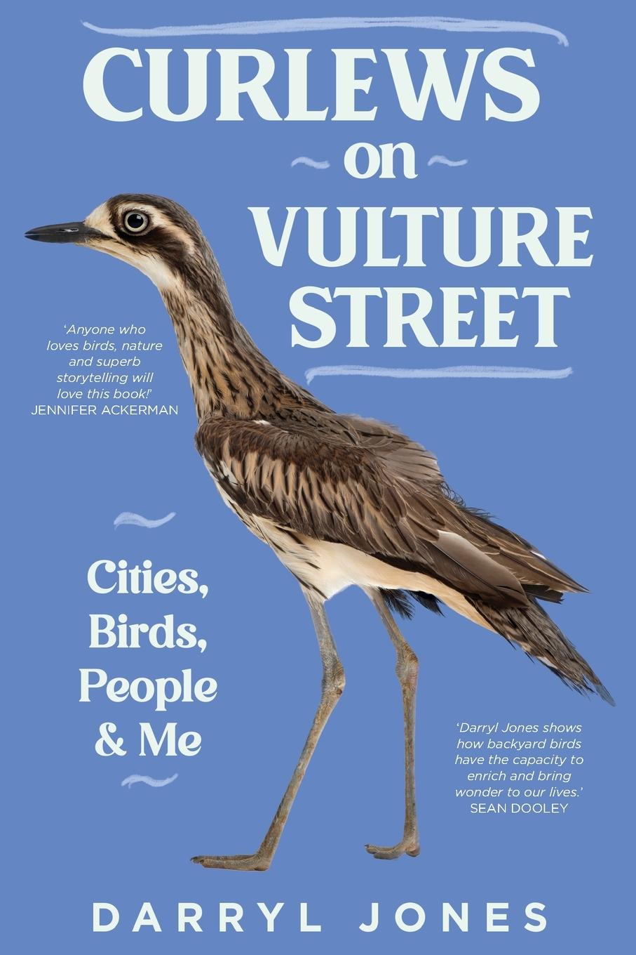 Vorderes Coverbild Curlews on Vulture Street