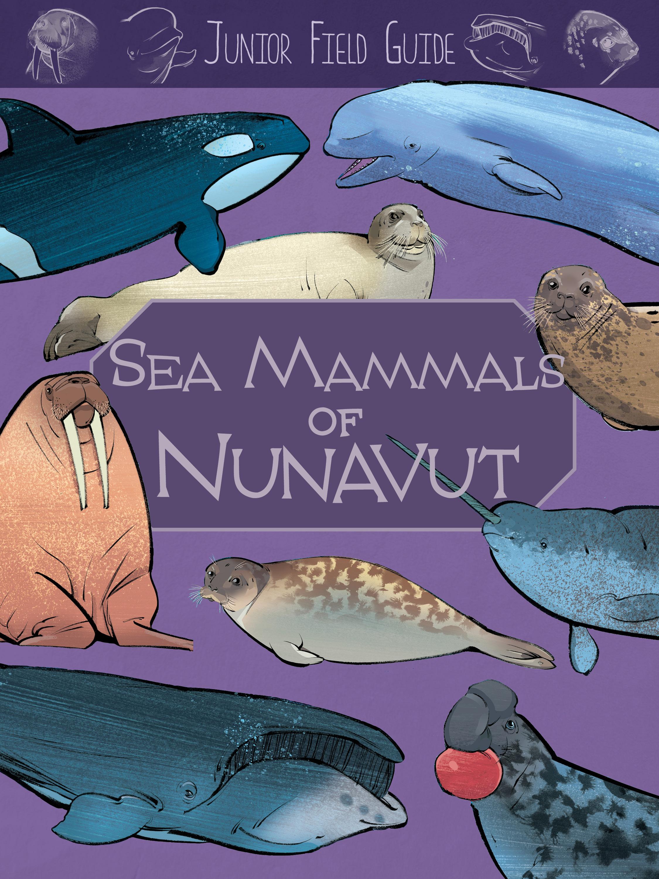 Vorderes Coverbild Junior Field Guide: Sea Mammals of Nunavut