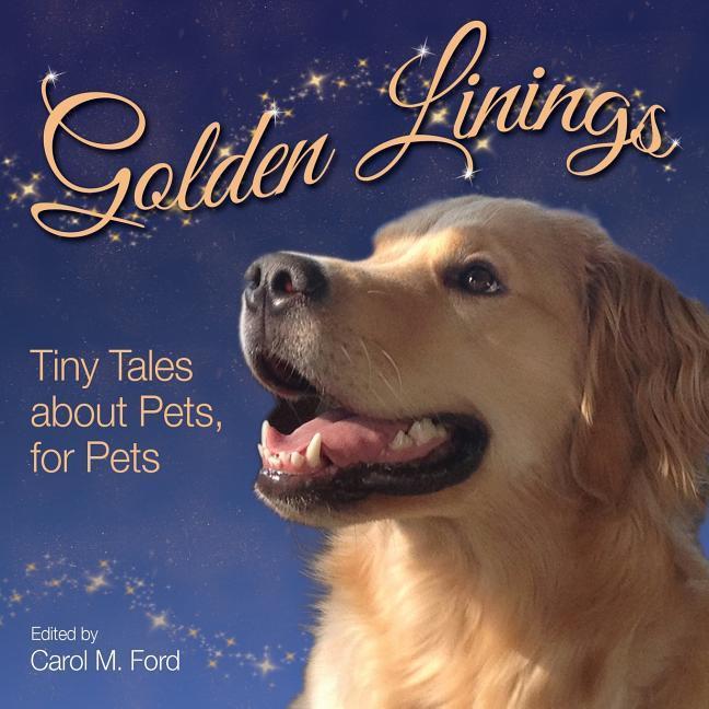 Vorderes Coverbild Golden Linings
