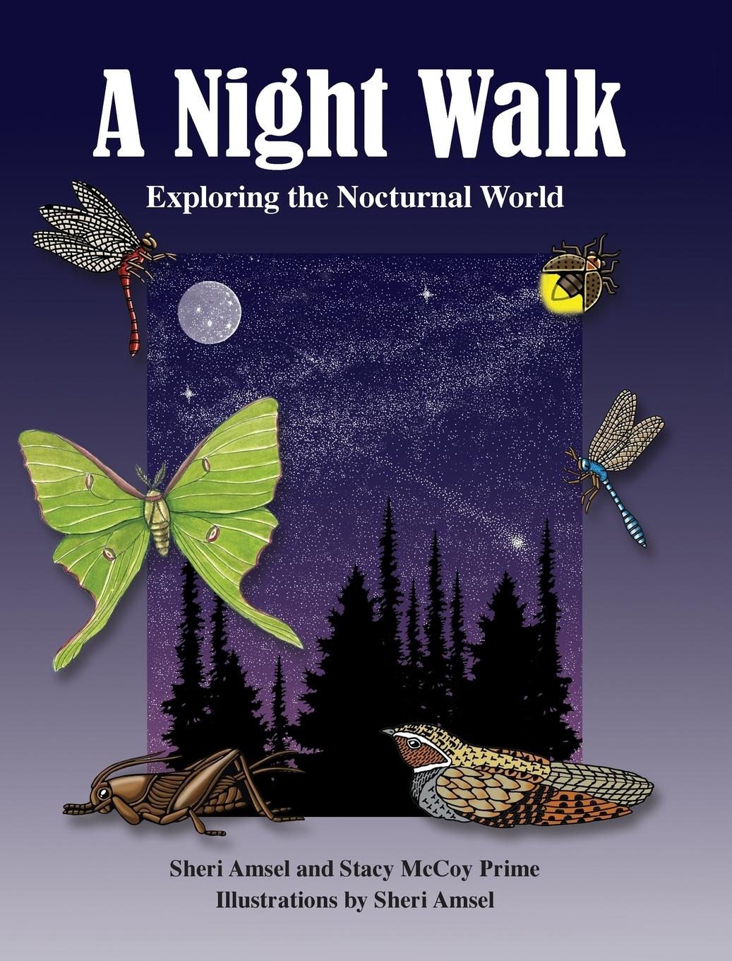 Vorderes Coverbild A Night Walk