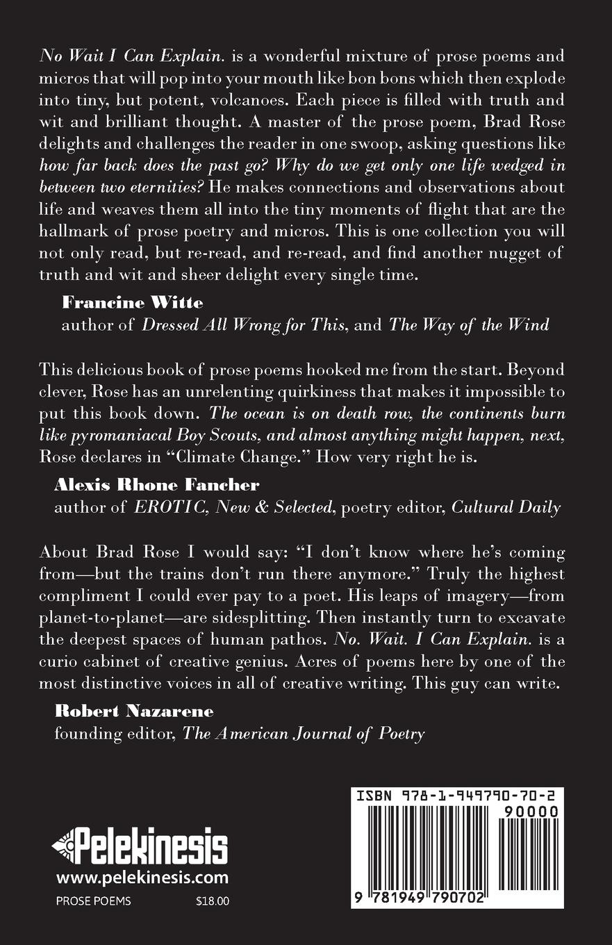 Rückseitencover No. Wait. I Can Explain.