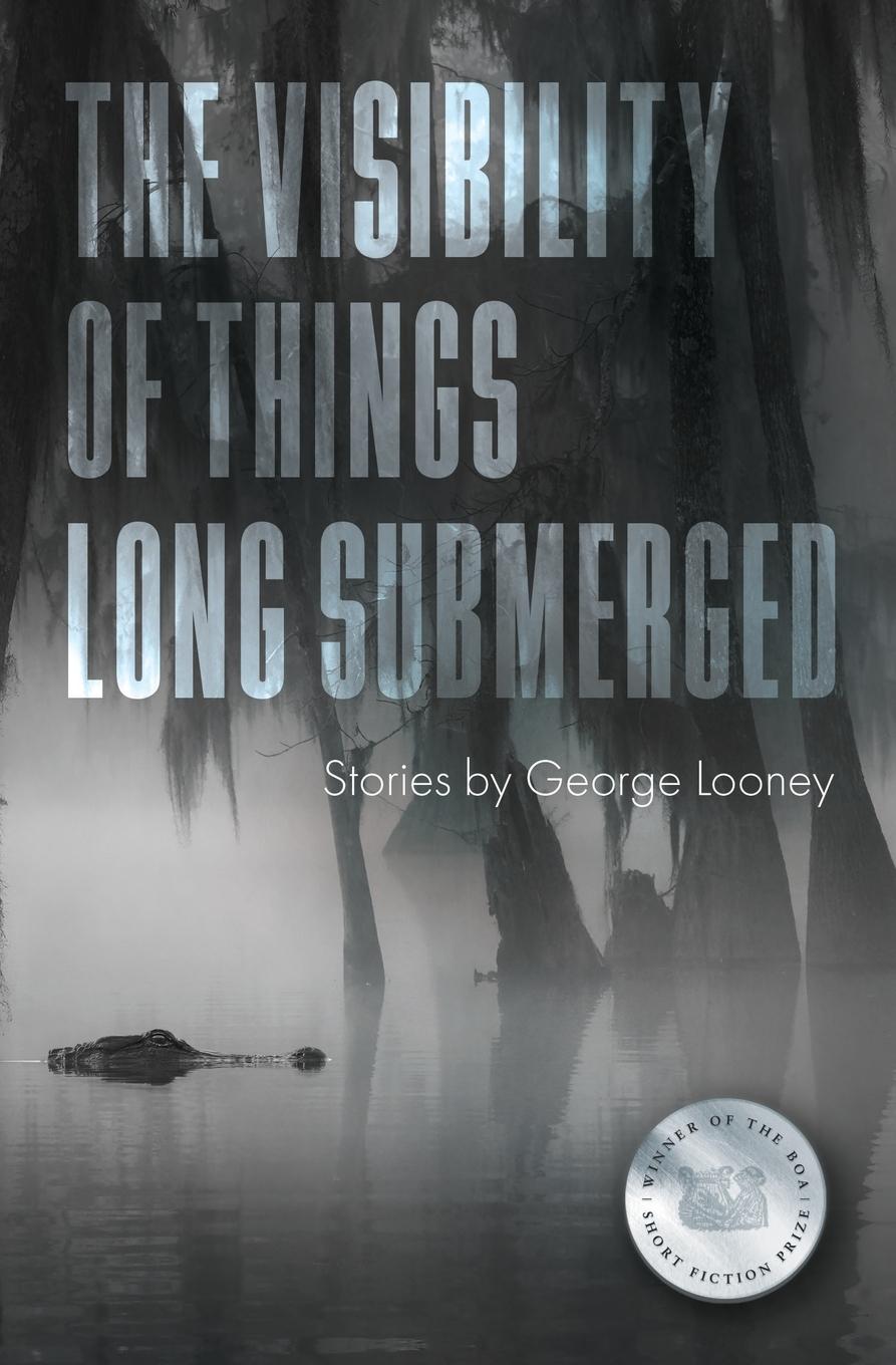 Vorderes Coverbild The Visibility of Things Long Submerged