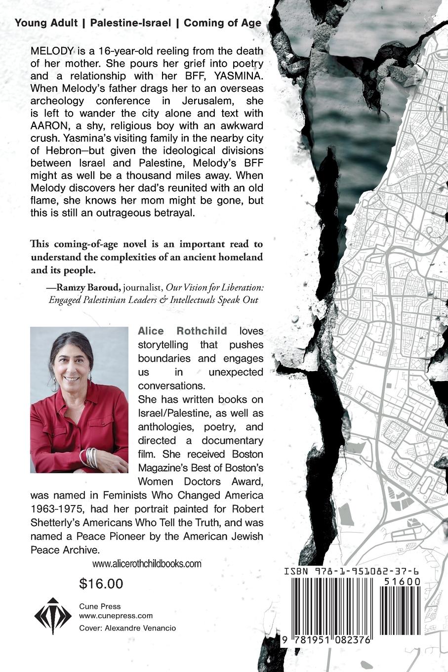 Rückseitencover Finding Melody Sullivan