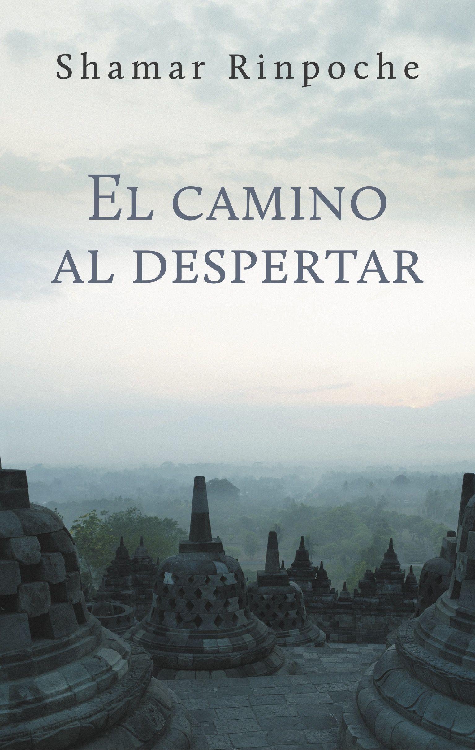 Vorderes Coverbild El Camino Al Despertar
