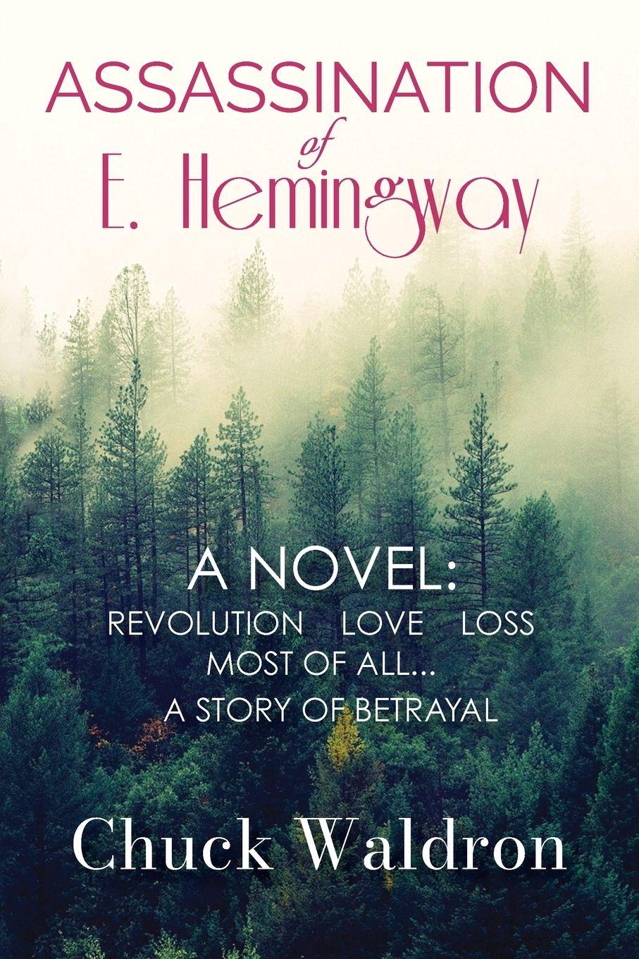 Vorderes Coverbild Assassination of E. Hemingway