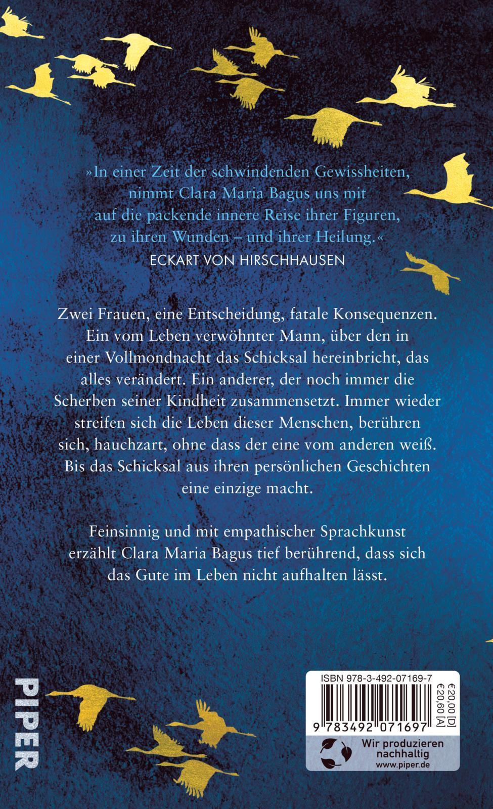 Rückseitencover Der Klang von Licht