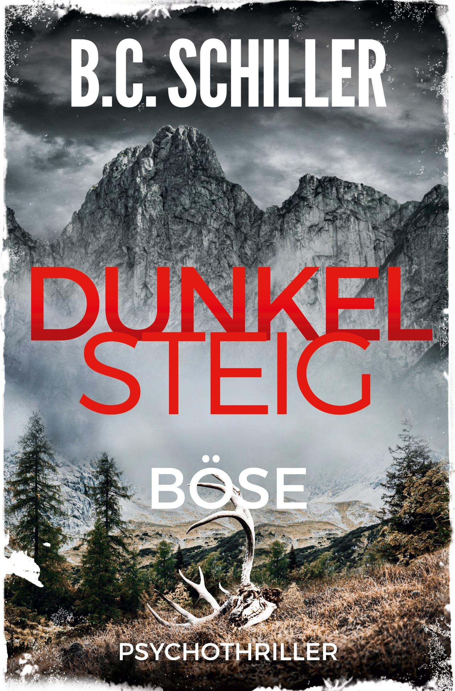 Vorderes Coverbild Dunkelsteig: Böse