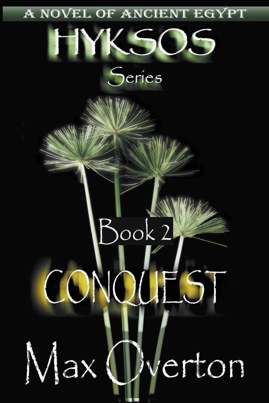 Vorderes Coverbild Conquest