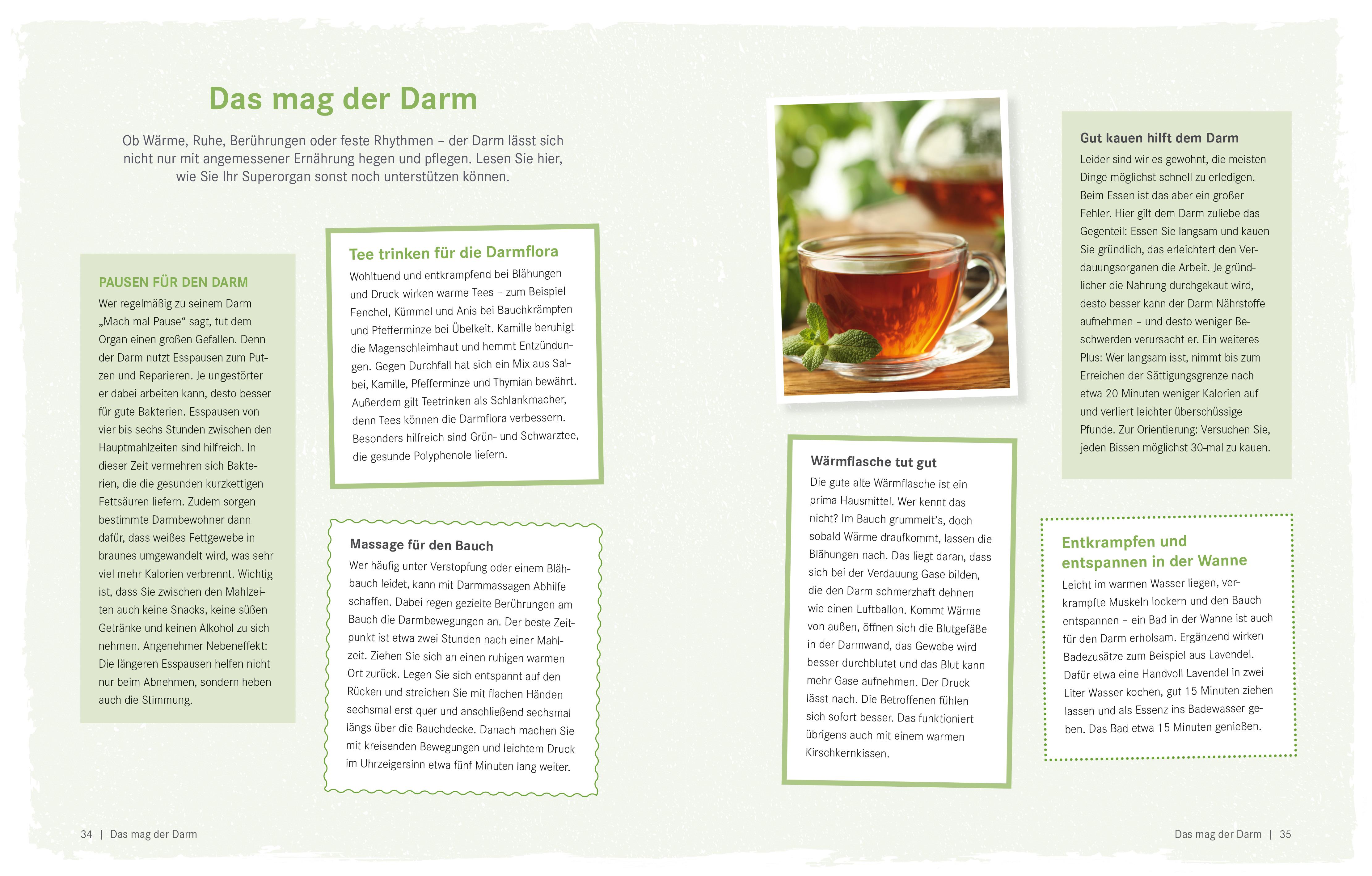 Beispielinhalt (Bild) Die Ernährungs-Docs - Gesund abnehmen mit der Darm-fit-Formel