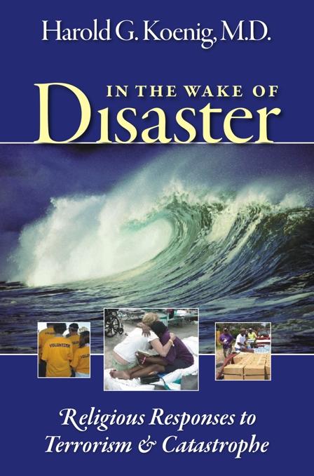 Vorderes Coverbild In the Wake of Disaster