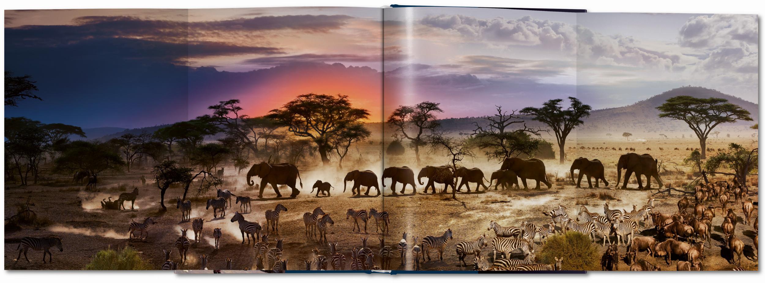 Beispielinhalt (Bild) Stephen Wilkes. Day to Night