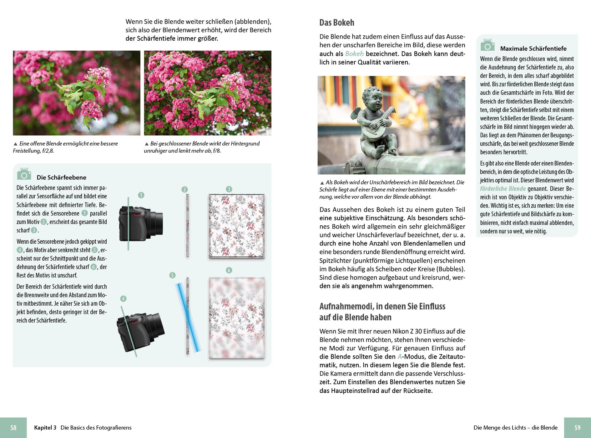 Beispielinhalt (Bild) Nikon Z 30