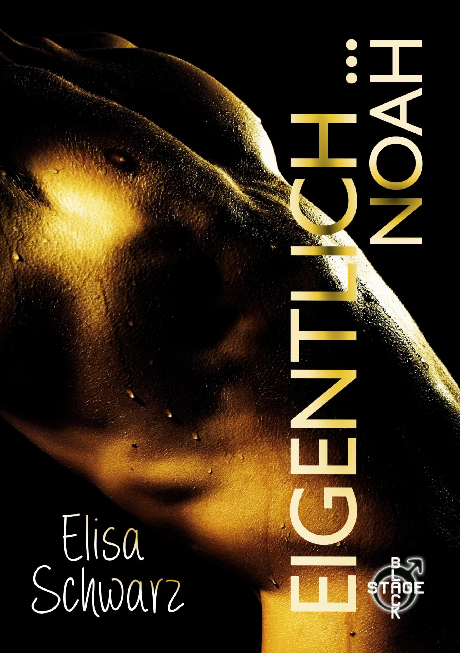 Vorderes Coverbild Eigentlich ... Noah
