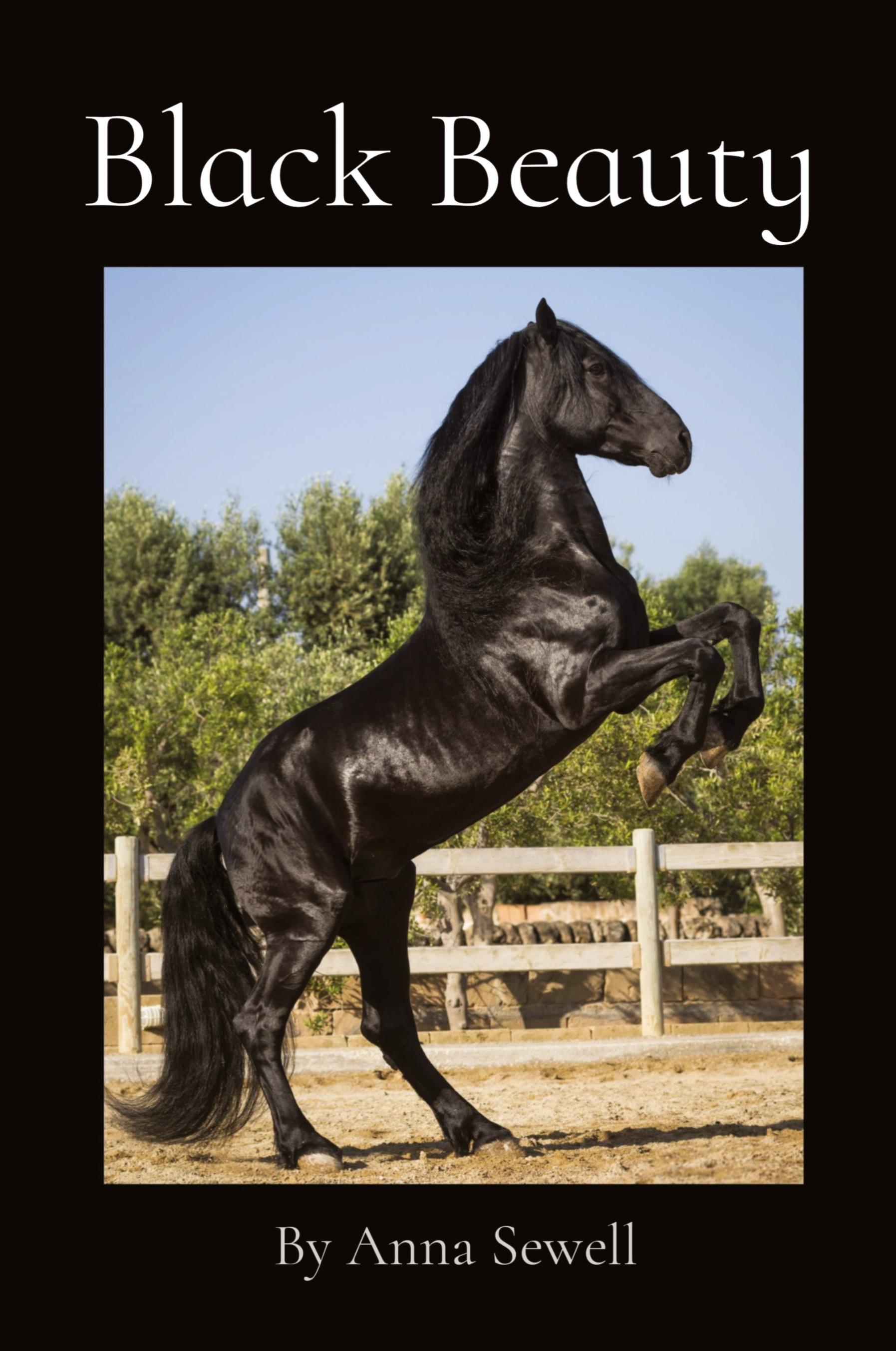 Vorderes Coverbild Black Beauty