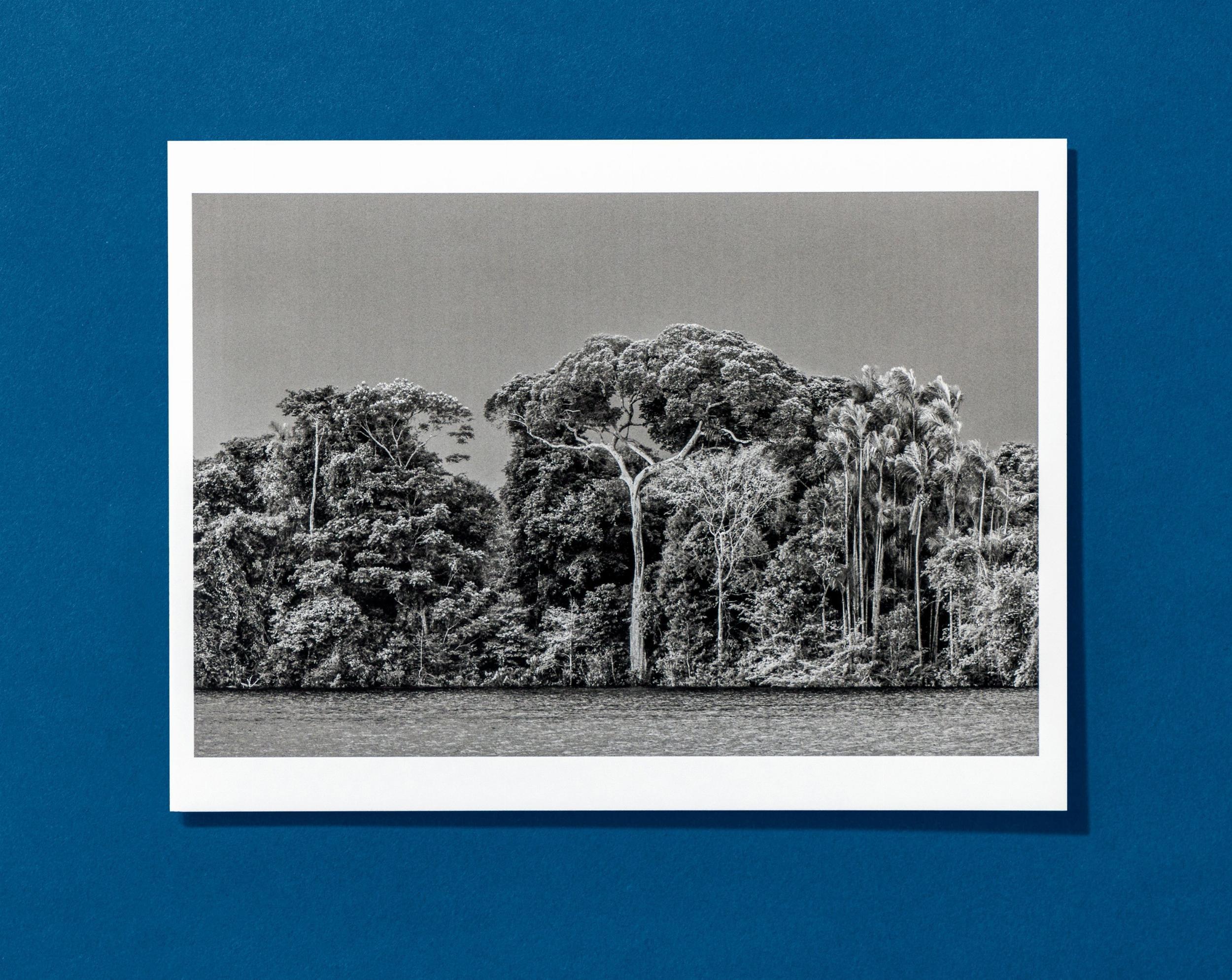 Beispielinhalt (Bild) Sebastião Salgado. Amazônia. Postcard Set