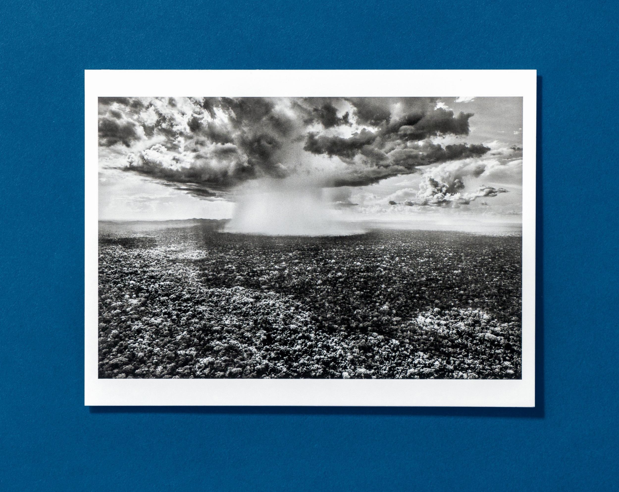 Beispielinhalt (Bild) Sebastião Salgado. Amazônia. Postcard Set