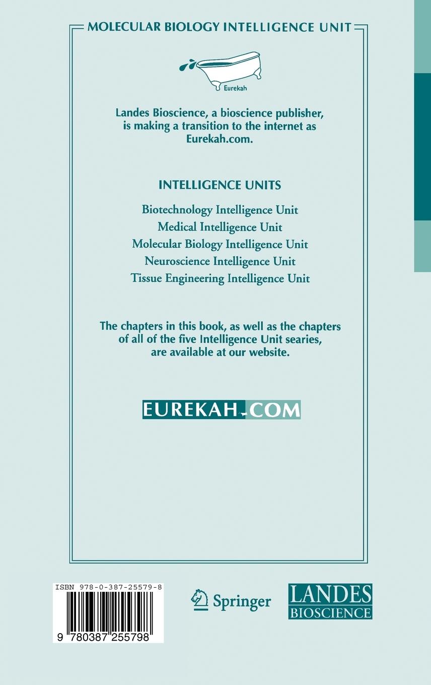 Rückseitencover DNA Conformation and Transcription