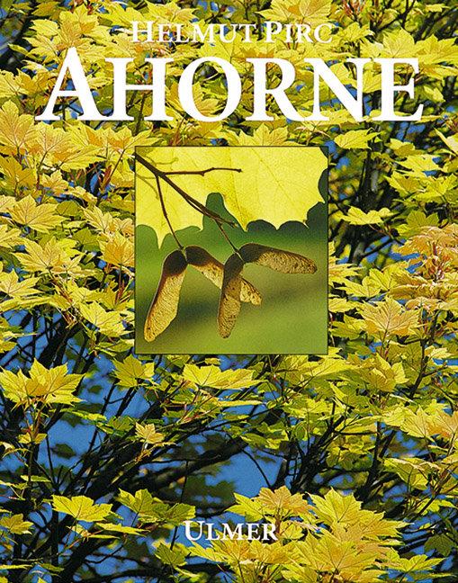 Vorderes Coverbild Ahorne