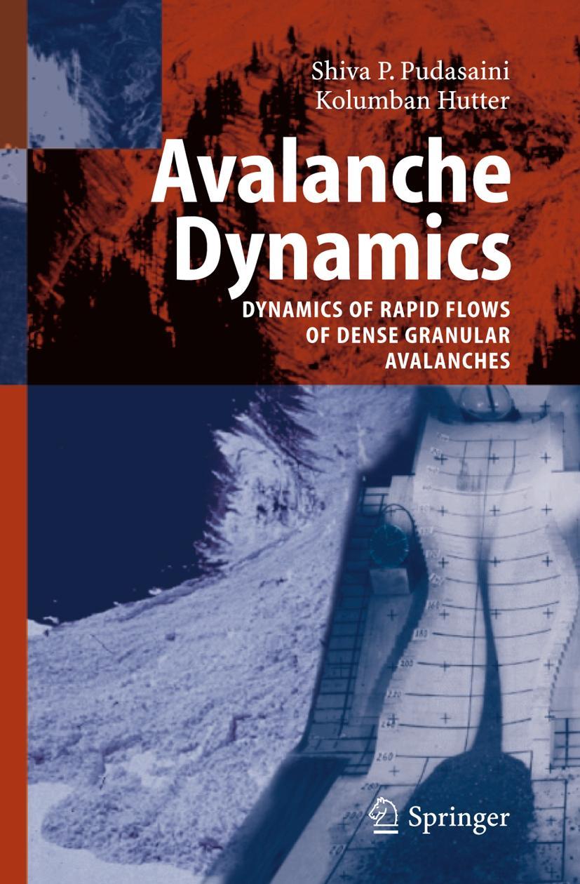 Vorderes Coverbild Avalanche Dynamics