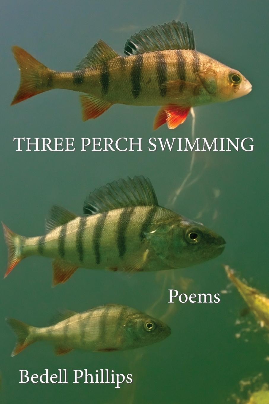 Vorderes Coverbild Three Perch Swimming