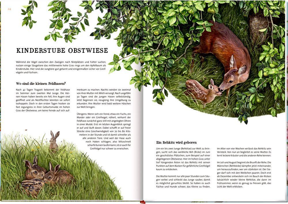 Beispielinhalt (Bild) Das große Buch vom Apfelbaum