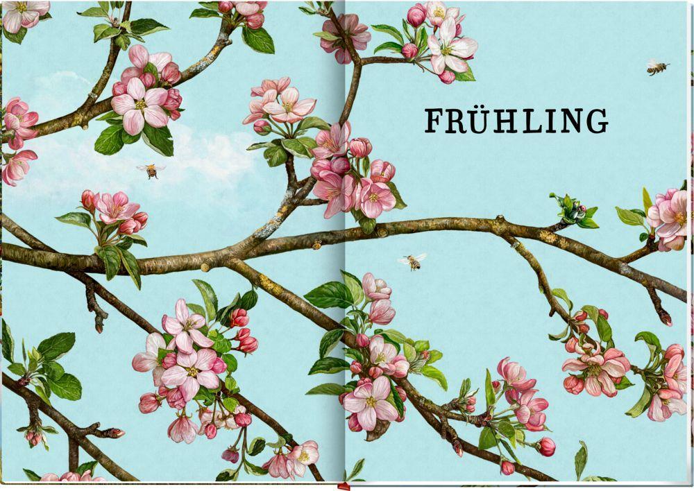 Beispielinhalt (Bild) Das große Buch vom Apfelbaum